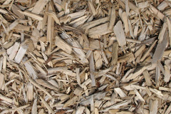 biomass boilers Tilford Reeds